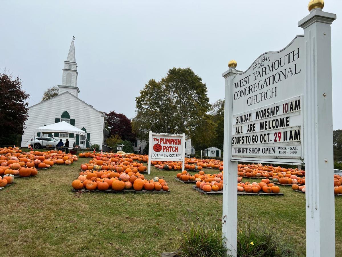 A Cozy Cape House Steps To Restaurants & Beaches ~1.4 Miles Down Scenic Roads Yarmouth Port Exteriör bild
